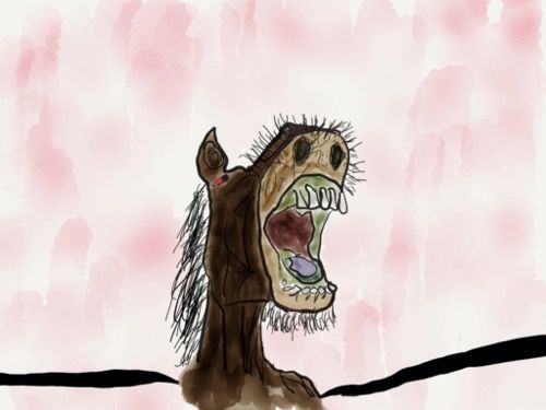 run2.jpg Run2